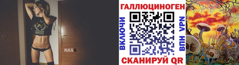 Псилоцибиновые грибы GOLDEN TEACHER  где продают наркотики  Приморск 